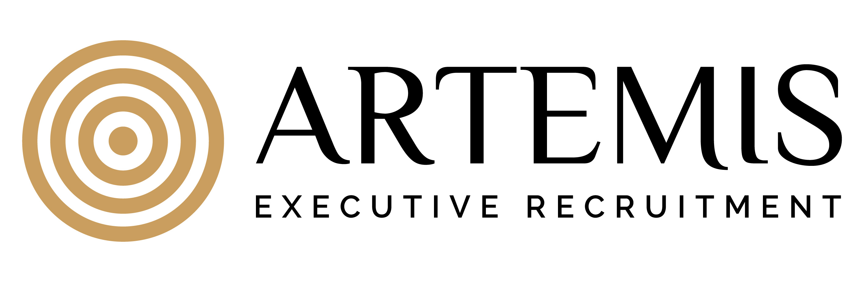 Artemis Executive Recruitment6 01